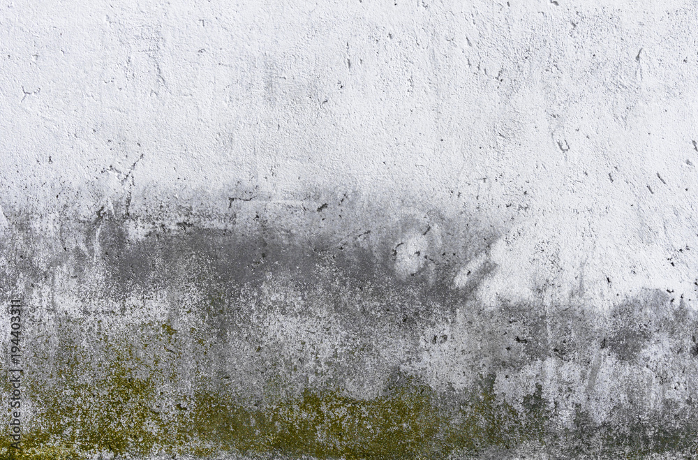 Naklejka premium Dirty wall with mold