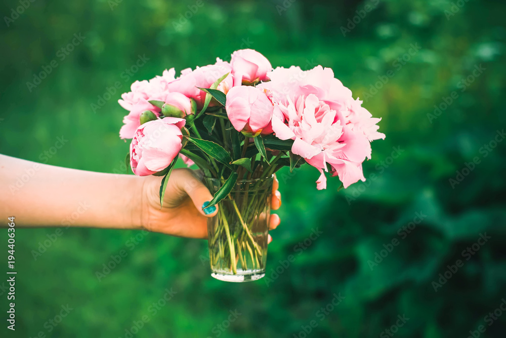 Hand holding a bouquet of pink fresh peony flowers.