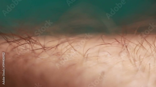 Arm hairs extreme close up
