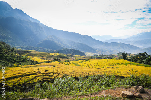 Terraced rice fields in the North mountains of Vietnam. Lao Cai province. photo