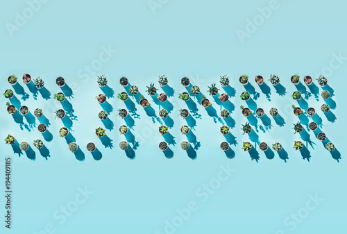 top view of word summer made from green potted plants on blue