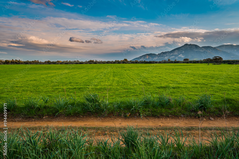 Fototapeta premium monte linas