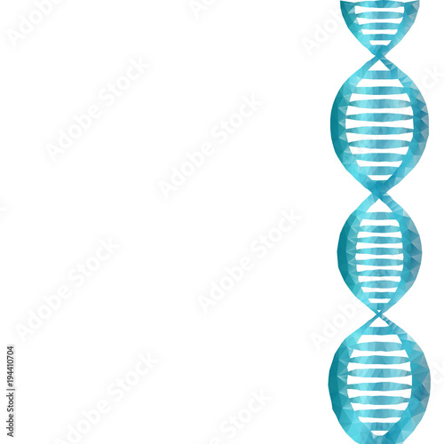 DNA polygon