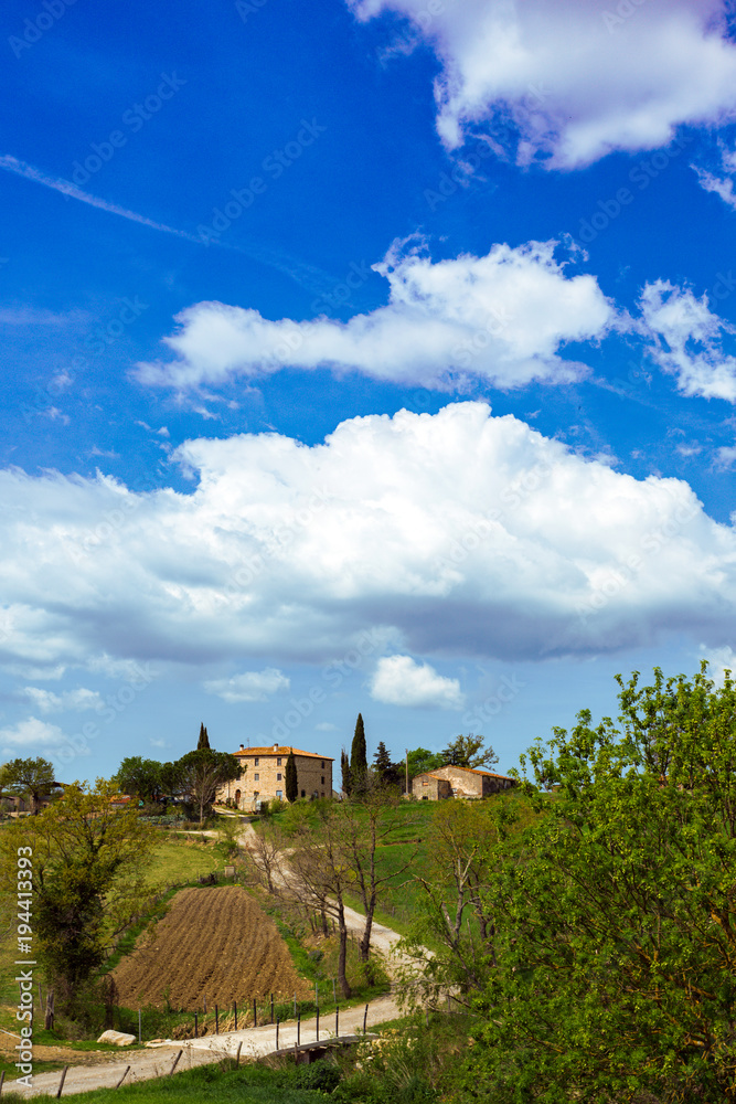 old house and cypresses