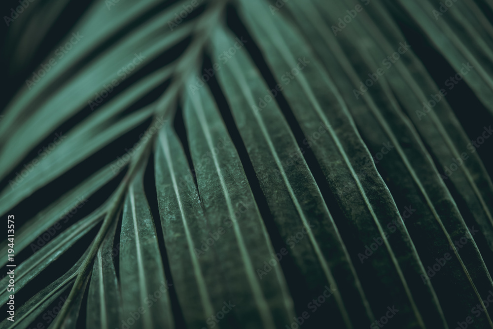 Plant background