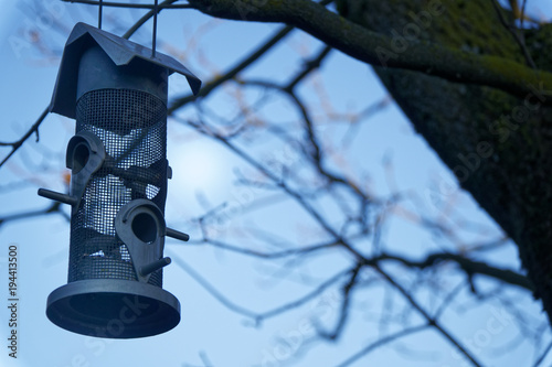 Metalic Feeders for bird . tree house for the birds, cheerful apartment photo