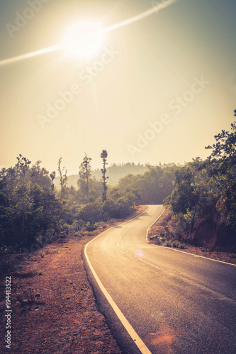Canvas Print Country highway through the forest