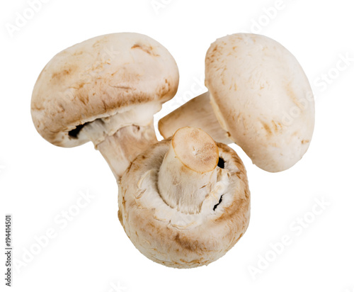 three whole fresh mushroom champignon on white background