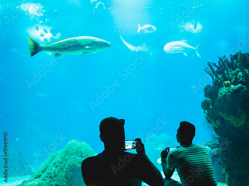 People watching fish through the glass in a Oceanarium photo