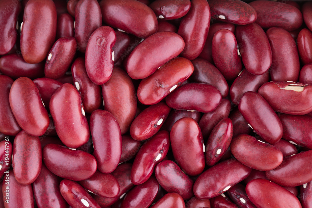 Assortment of beans Assortment of beans