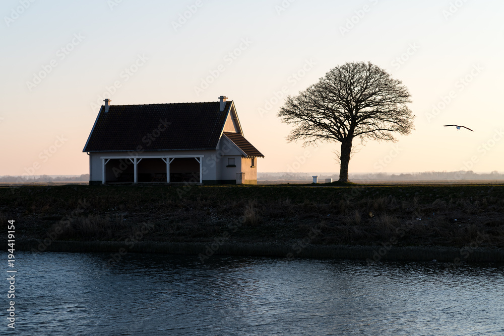 Morning sunrise Backlight behind winter trees and little house by the shore 