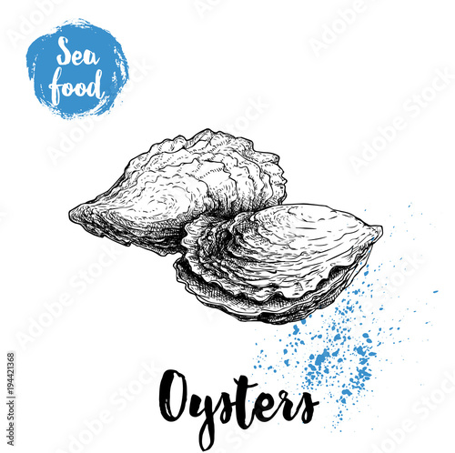 Hand drawn oysters composition. Seafood sketch style illustration. Fresh marine mollusks in closed shells.