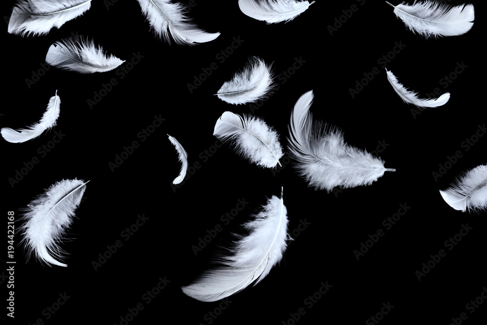 Premium Photo  Solf white feathers falling down in the dark.