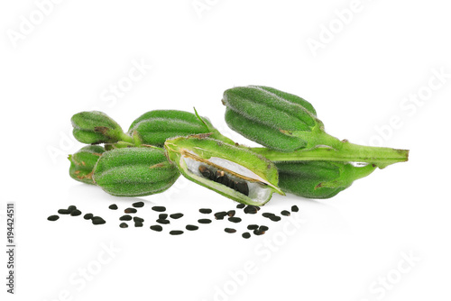 fresh sesame pods with seeds isolated on white background