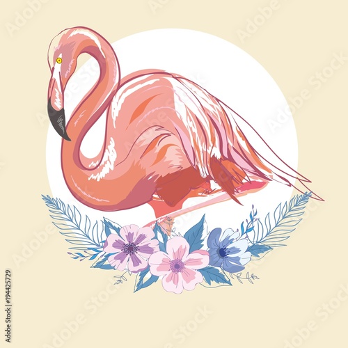 Pink flamingo vector illustration