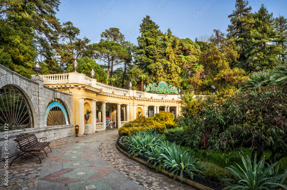 Fototapeta premium Дендрарий в Сочи arboretum in Sochi