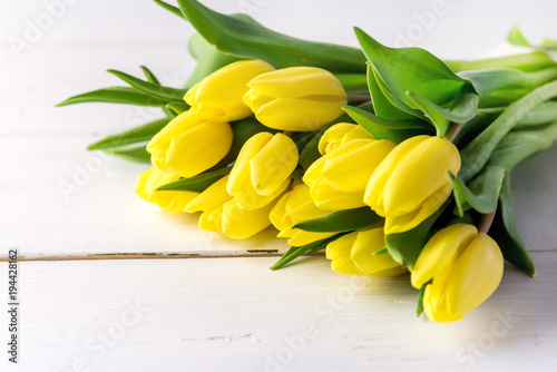 Beautiful Yellow Tulips on White Wooden Background Cop Space Beautiful Spring Flowers