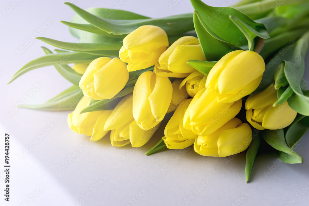 Beautiful Yellow Tulips on Blue Background Cop Beautiful Spring Flowers Toned Background with Tulips Beautiful Yellow Tulips on Blue Background Cop Beautiful Spring Flowers Toned Background with Tulips