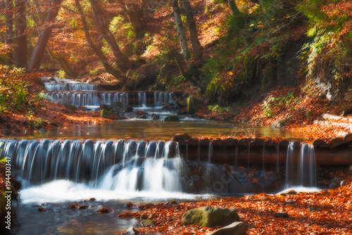 Fototapeta Naklejka Na Ścianę i Meble -  Amazing autumn scenery with yellow leaves above stream of mountain waterfall. Beautiful nature background.