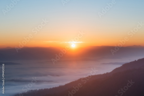 trees in a fog on the mountain