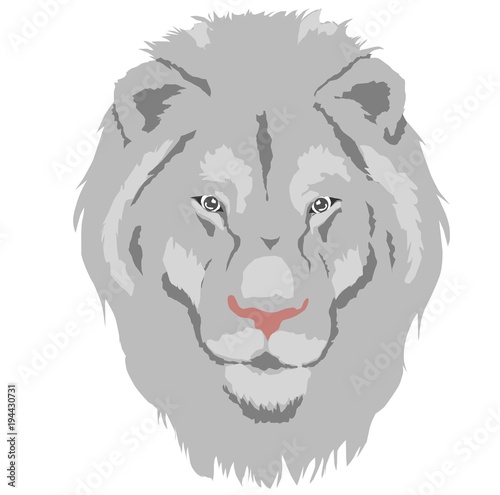 Fototapeta Naklejka Na Ścianę i Meble -  Portrait of a lion. Can be used for printing on T-shirts, flyers and stuff. Vector illustration