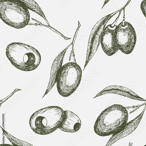 Olive fruit seamless pattern background. Sketched branches of olive tree with fruit and leaves seamless pattern for healthy food and agriculture harvest design