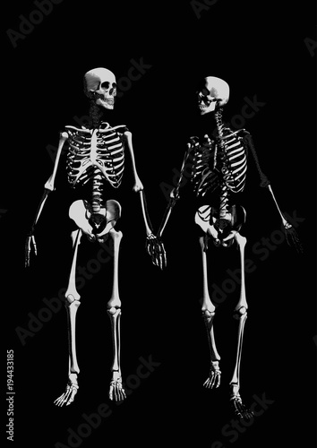 A couple of skeleton on dark BG