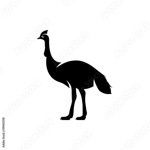 cassowary vector silhouette