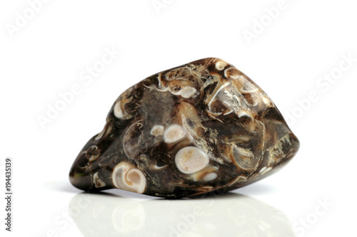 Set Rock stone with names, isolated on a white background with shadow,  beautiful lighting, reflections. Turtle Jasper.