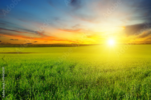 Green field and blue sky with light clouds. Above the horizon is a bright sunrise.