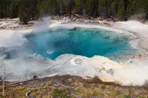 Cistern Spring in Norris Geyser Basin in Yellowstone National Park in Wyoming in the USA 