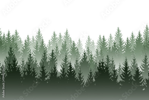 Vector misty green forest isolated on white background © Kateina