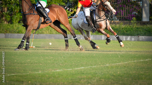 Polo players tries to snatch a polo ball.