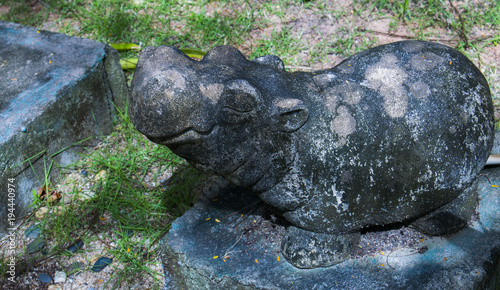 Hippopotamus stone