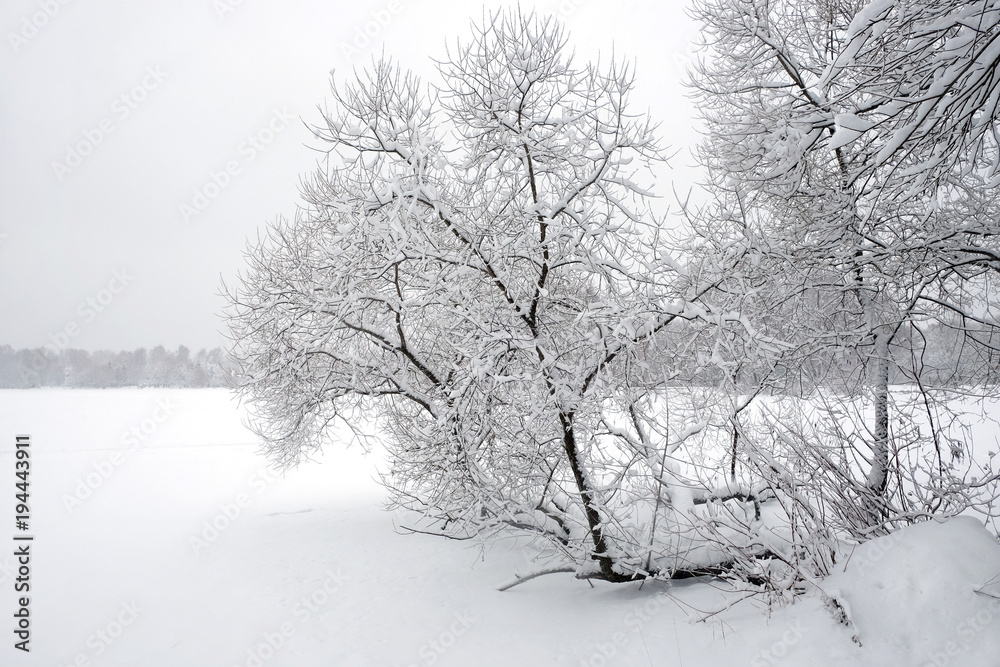 Beautiful landscape with snow-covered path on the edge of the forest and frozen river under overcast winter day Beautiful landscape with snow-covered path on the edge of the forest and frozen river under overcast winter day