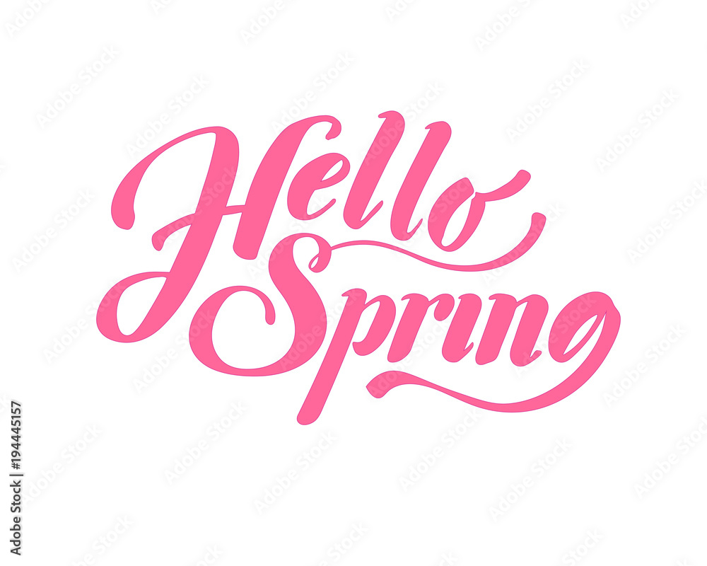 Hello Spring. Hand drawn calligraphy and brush pen lettering. design for holiday greeting card and invitation of seasonal spring holiday.