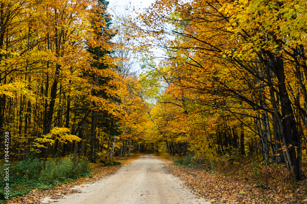 Fall road in forest of Pictured Rocks National Lakeshore Munising. Trees tunnel.