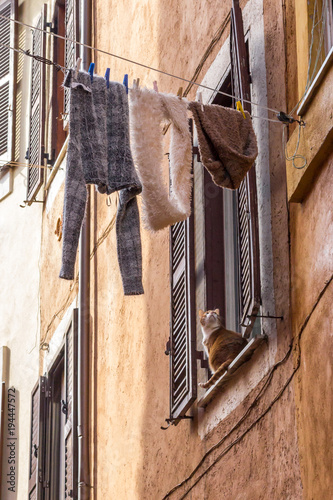 gatto alla finestra con panni stesi ad asciugare © ilana