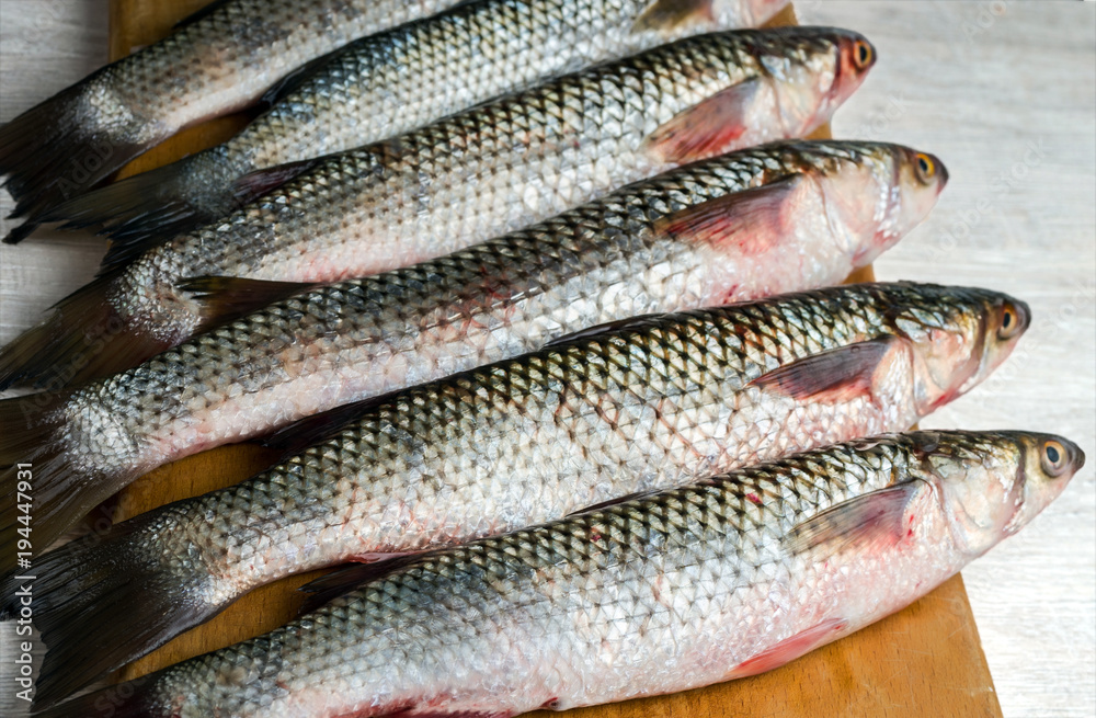 Fototapeta premium Fresh mullet on a cutting board. Mullet fish. Selective focus.