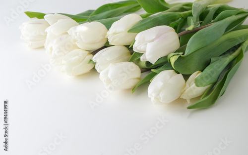 seweral white tulips lie on  light background. Delicate spring b