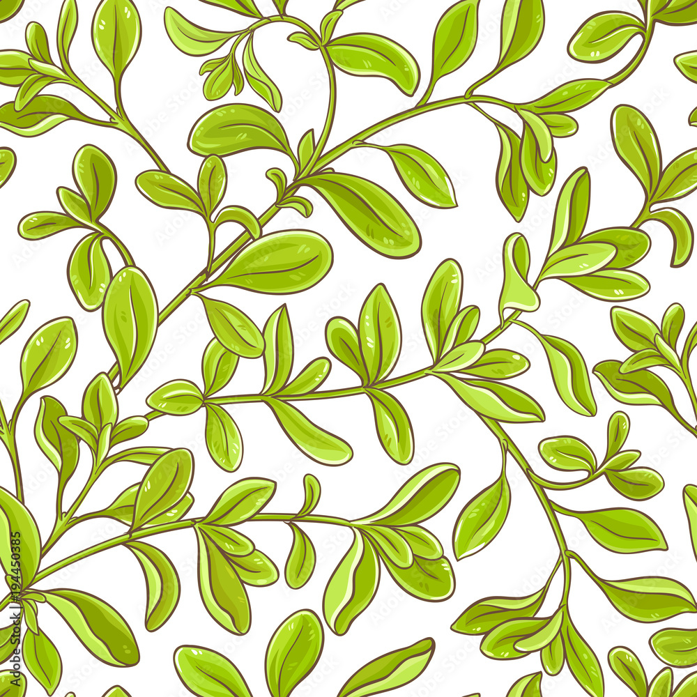 marjoram branch vector pattern marjoram branch vector pattern