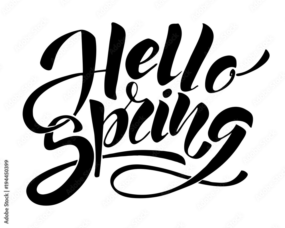 Hello Spring. Hand drawn calligraphy and brush pen lettering. design for holiday greeting card and invitation of seasonal spring holiday.