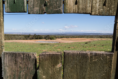 Nature Landscape
