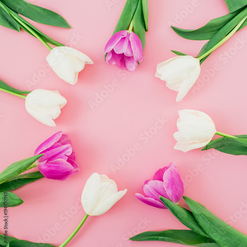Floral background with tulips flowers on pink pastel background. Flat lay, top view. Spring time background.