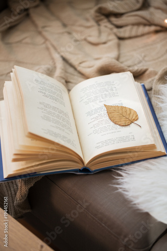 book with autumn leaf on page on sofa at home