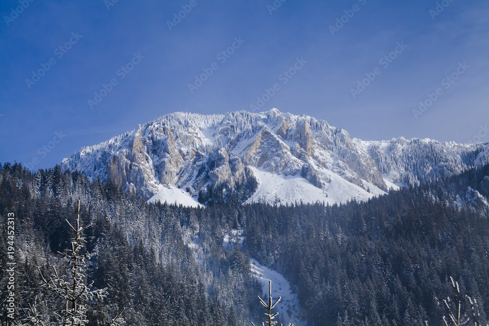 winter scene in Hasmas mountains, Romania