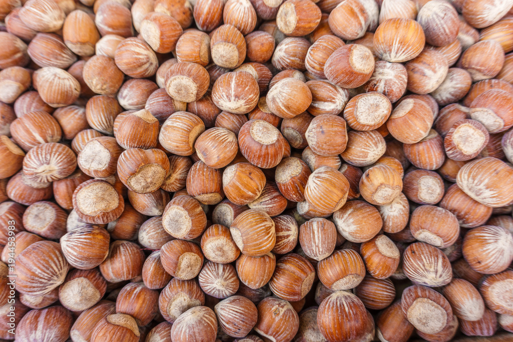 lots of hazelnut nuts, walnut natural background