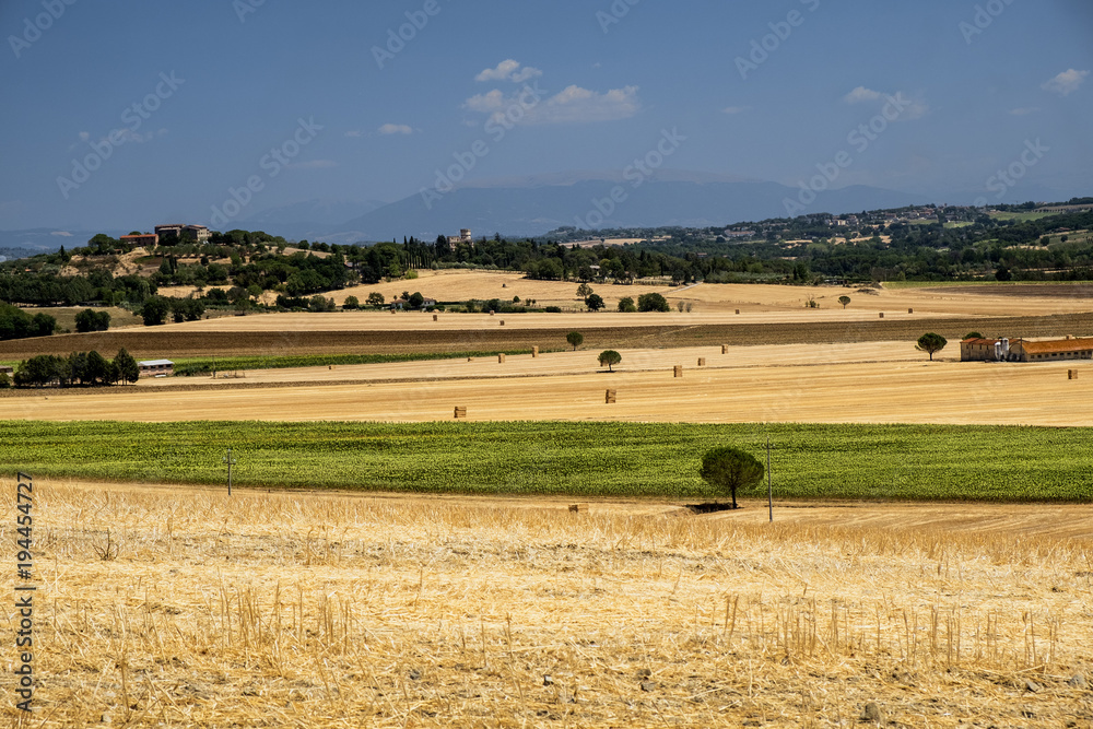 Fototapeta premium Summer landscape near Perugia