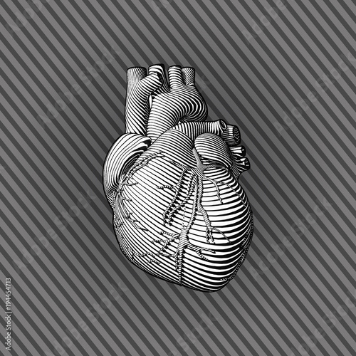 Stylized human heart illustration on stripe BG