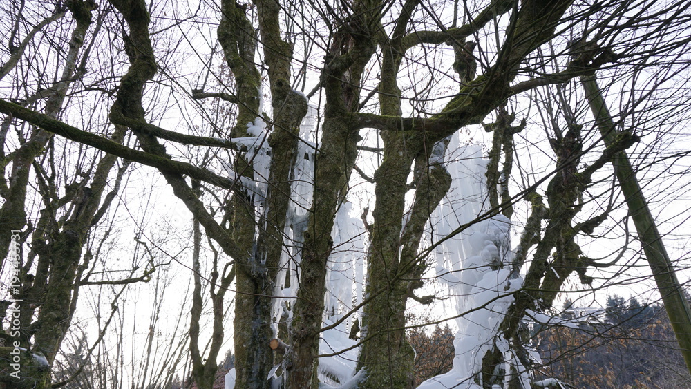 Obraz premium Eisskulptur von einem Wasserbrunen und an einem Baum